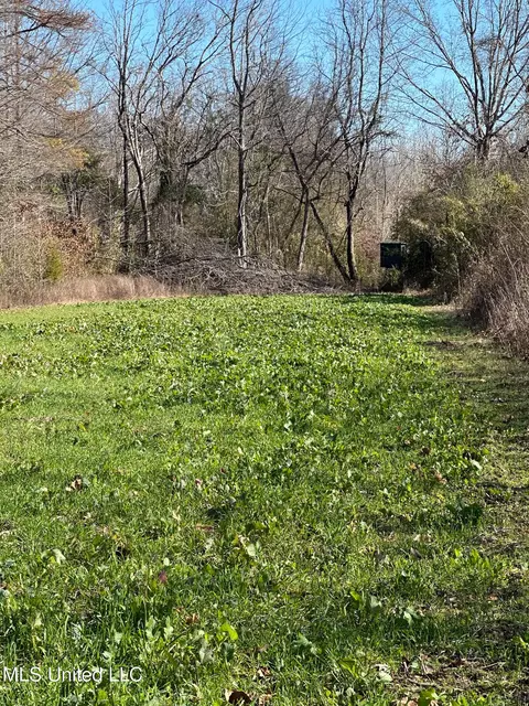 Co Rd 4120, Sallis, MS 39160 photo 19