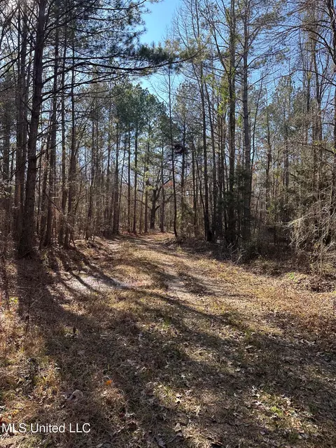 Co Rd 4120, Sallis, MS 39160 photo 12