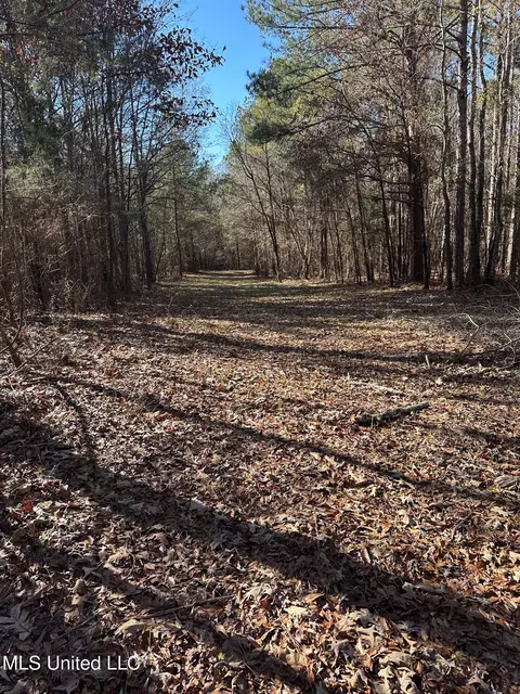 Co Rd 4120, Sallis, MS 39160 photo 29