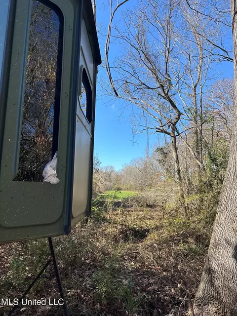 Co Rd 4120, Sallis, MS 39160 photo 16