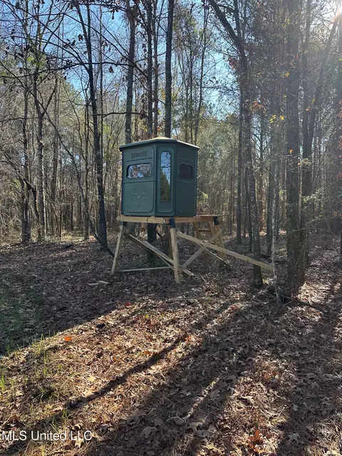 Co Rd 4120, Sallis, MS 39160 photo 5