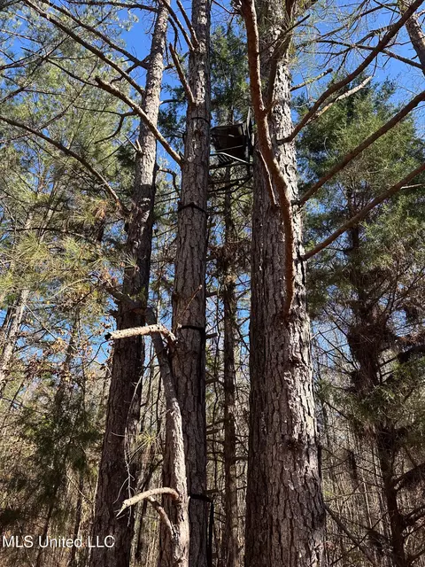 Co Rd 4120, Sallis, MS 39160 photo 27