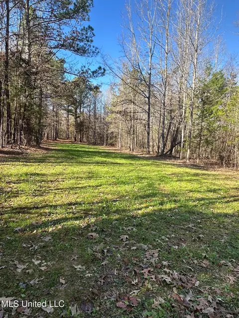 Co Rd 4120, Sallis, MS 39160 photo 24