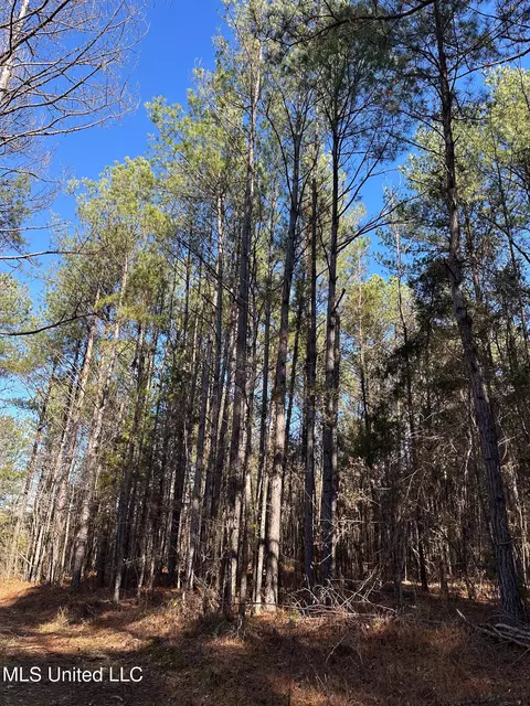 Co Rd 4120, Sallis, MS 39160 photo 13