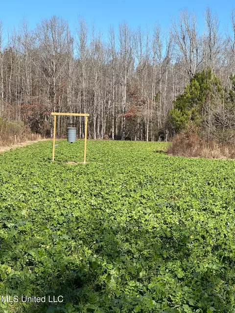 Co Rd 4120, Sallis, MS 39160 photo 11