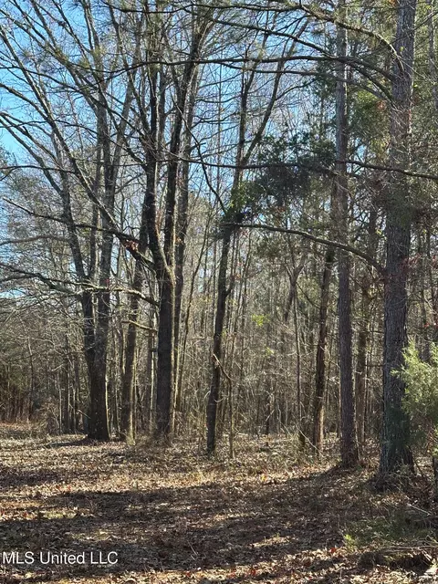Co Rd 4120, Sallis, MS 39160 photo 22