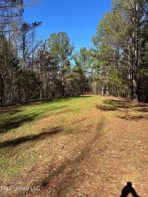 Co Rd 4120, Sallis, MS 39160 photo 26