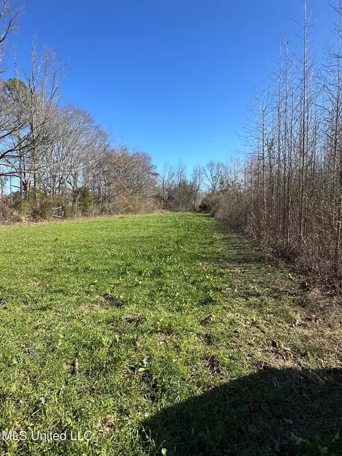 Co Rd 4120, Sallis, MS 39160 photo 20