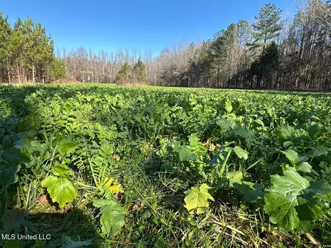 Co Rd 4120, Sallis, MS 39160 photo 10