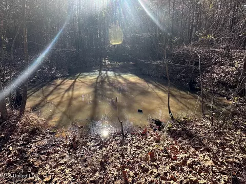 Co Rd 4120, Sallis, MS 39160 photo 25