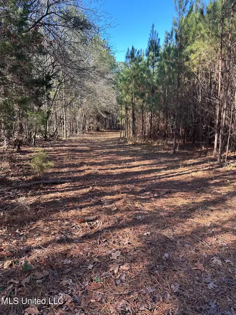 Co Rd 4120, Sallis, MS 39160 photo 4