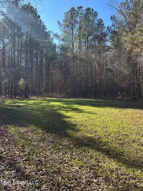 Co Rd 4120, Sallis, MS 39160 photo 3