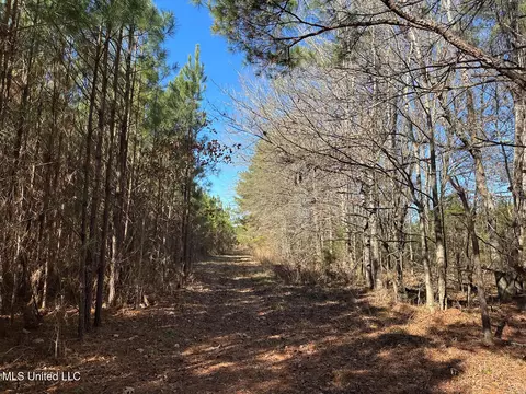 Co Rd 4120, Sallis, MS 39160 photo 8