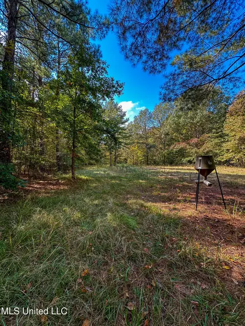 67 Highway 505, Lawrence, MS 39336 photo 40