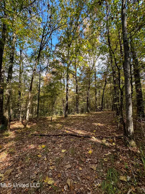 67 Highway 505, Lawrence, MS 39336 photo 44