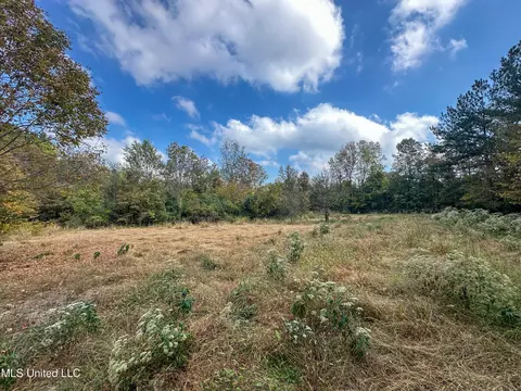 67 Highway 505, Lawrence, MS 39336 photo 42