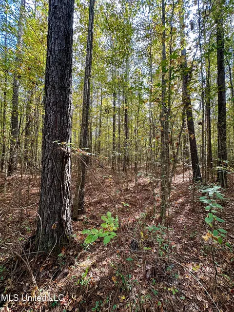 67 Highway 505, Lawrence, MS 39336 photo 45