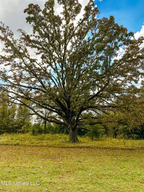 67 Highway 505, Lawrence, MS 39336 photo 33