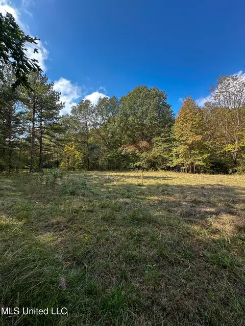 67 Highway 505, Lawrence, MS 39336 photo 39