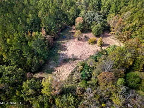 67 Highway 505, Lawrence, MS 39336 photo 38