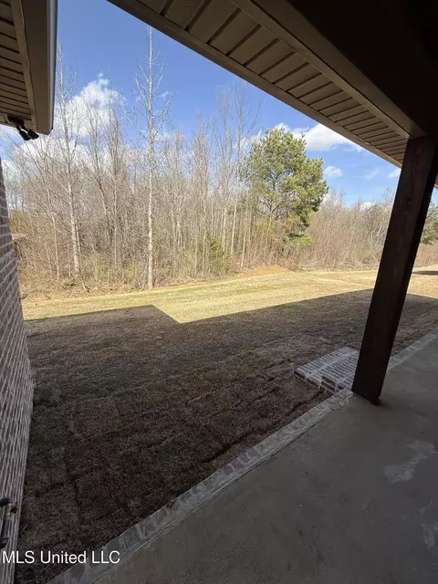 123 Ashby Rdg Dr, Canton, MS 39046 photo 30