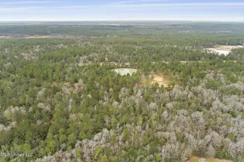 103 Trail Ridge Rd, Perkinston, MS 39573 photo 12
