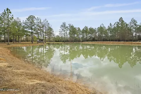 103 Trail Ridge Rd, Perkinston, MS 39573 photo 21