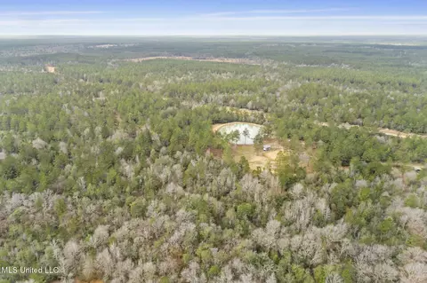 103 Trail Ridge Rd, Perkinston, MS 39573 photo 14