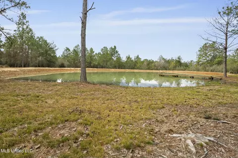103 Trail Ridge Rd, Perkinston, MS 39573 photo 18