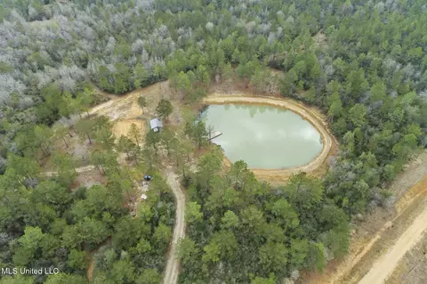 103 Trail Ridge Rd, Perkinston, MS 39573 photo 16