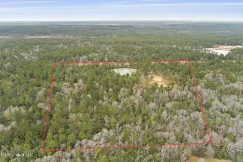 103 Trail Ridge Rd, Perkinston, MS 39573 photo 11