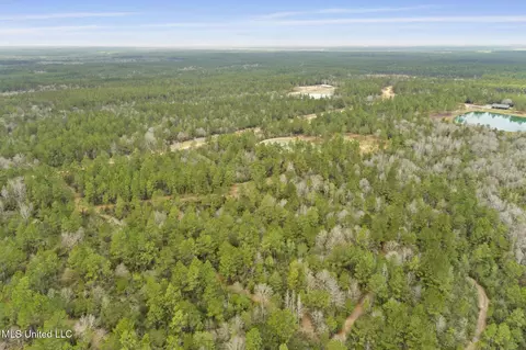 103 Trail Ridge Rd, Perkinston, MS 39573 photo 10