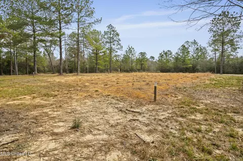 103 Trail Ridge Rd, Perkinston, MS 39573 photo 19