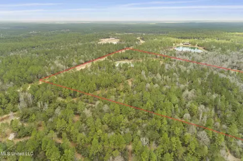 103 Trail Ridge Rd, Perkinston, MS 39573 photo 7
