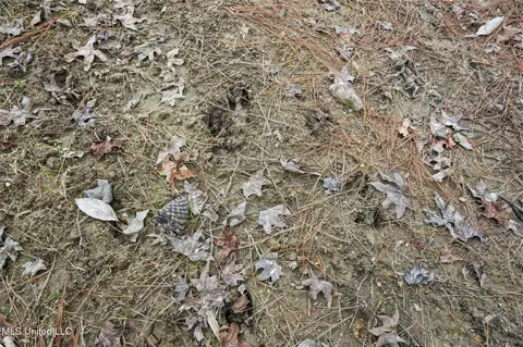 103 Trail Ridge Rd, Perkinston, MS 39573 photo 32