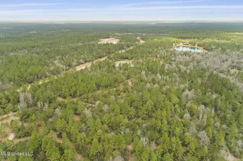 103 Trail Ridge Rd, Perkinston, MS 39573 photo 8