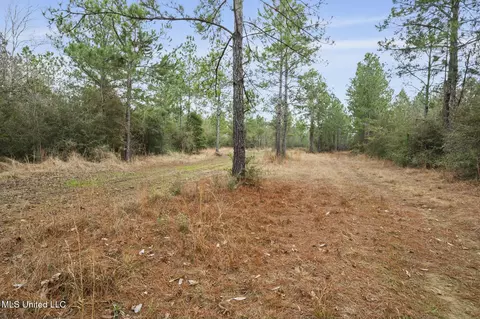 103 Trail Ridge Rd, Perkinston, MS 39573 photo 30