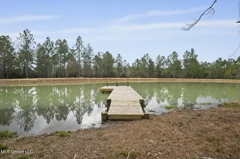 103 Trail Ridge Rd, Perkinston, MS 39573 photo 17