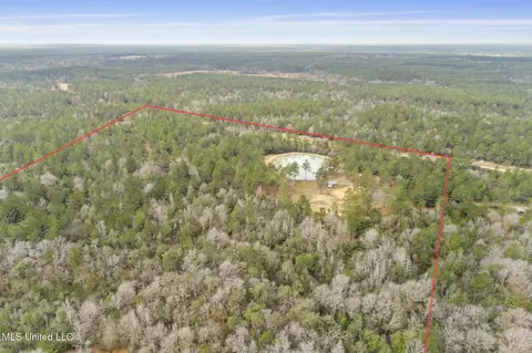 103 Trail Ridge Rd, Perkinston, MS 39573 photo 13