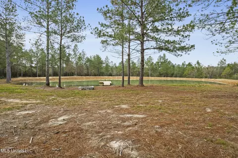 103 Trail Ridge Rd, Perkinston, MS 39573 photo 28