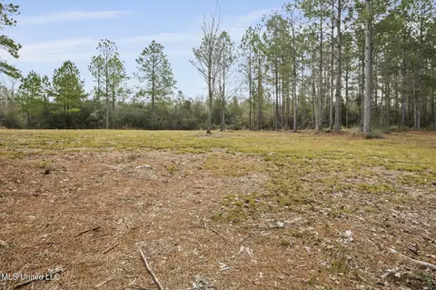 103 Trail Ridge Rd, Perkinston, MS 39573 photo 26