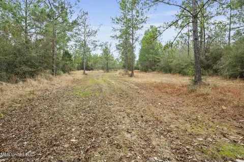 103 Trail Ridge Rd, Perkinston, MS 39573 photo 31