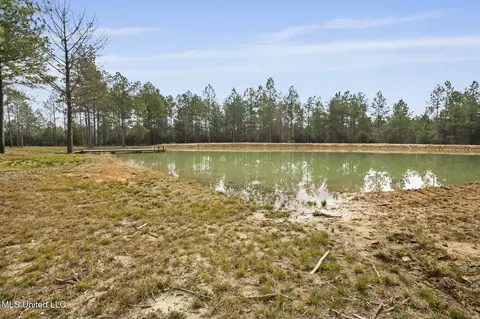 103 Trail Ridge Rd, Perkinston, MS 39573 photo 20