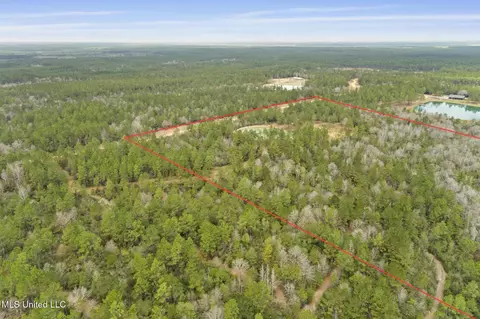 103 Trail Ridge Rd, Perkinston, MS 39573 photo 9