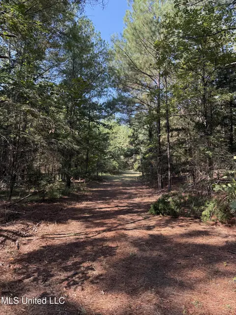 Race Track Road, West, MS 39192 photo 16