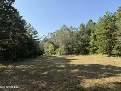 Race Track Road, West, MS 39192 photo 18