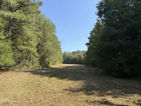 Race Track Road, West, MS 39192 photo 20