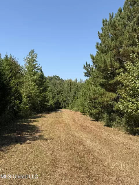 Race Track Road, West, MS 39192 photo 28