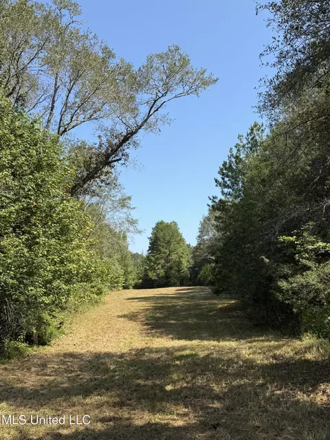 Race Track Road, West, MS 39192 photo 24