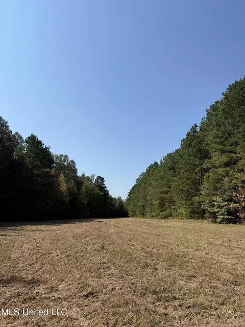 Race Track Road, West, MS 39192 photo 21